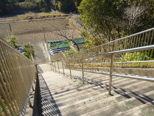 f0178701_9591668.jpg