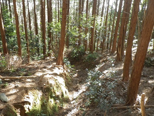 f0187402_21202528.jpg