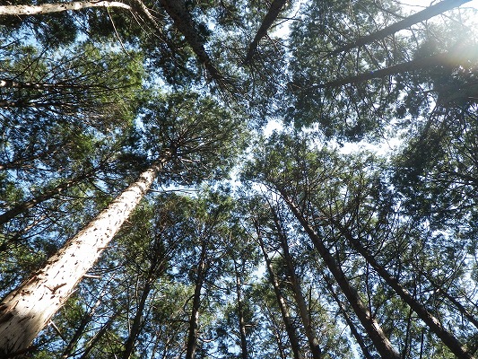 f0187402_21204340.jpg