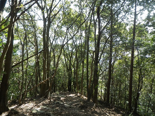 f0187402_2120990.jpg