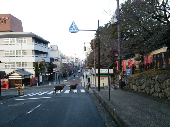 e0224610_06014652.jpg