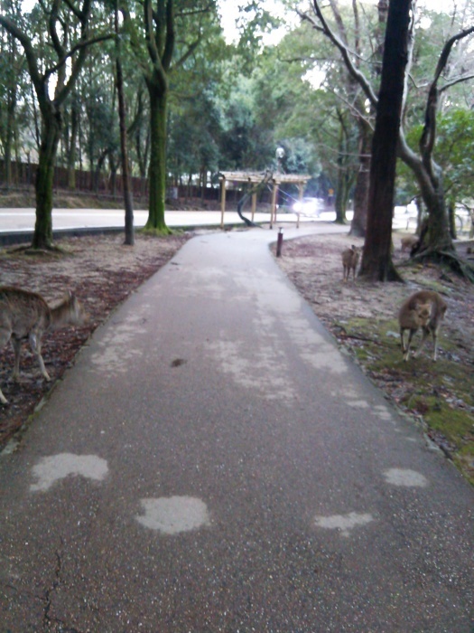 e0224610_06041150.jpg
