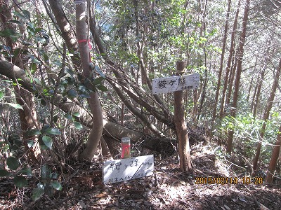 f0193521_7561337.jpg