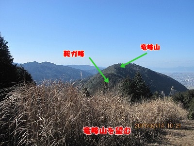 f0193521_833292.jpg