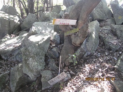 f0193521_87343.jpg