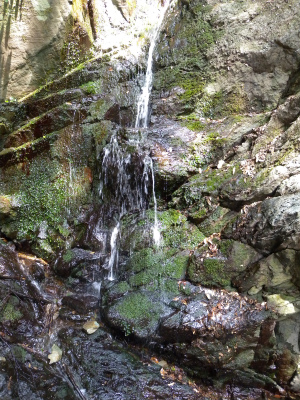 e0272335_1934164.jpg