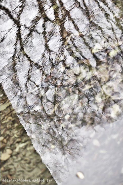 e0011137_22185927.jpg