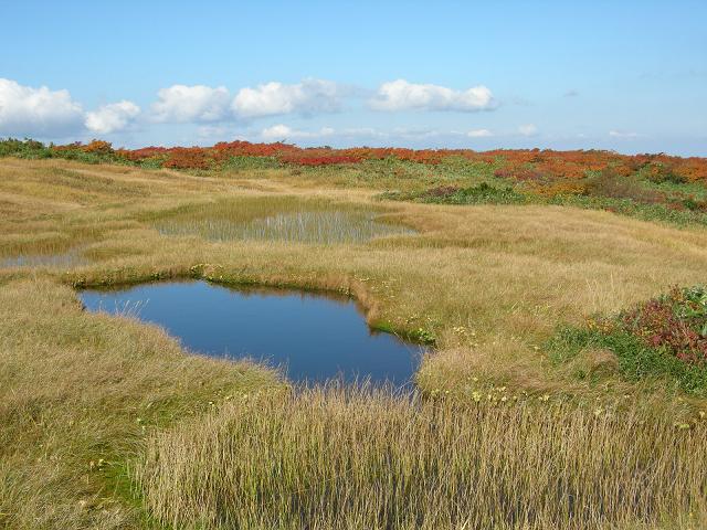 d0237340_19261690.jpg
