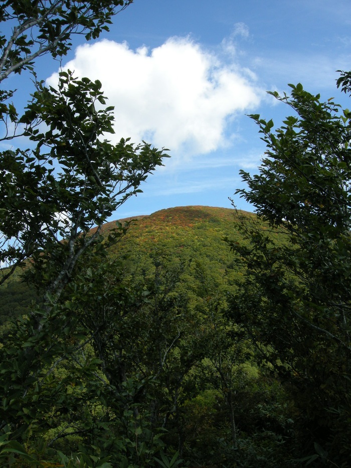d0237340_1933751.jpg
