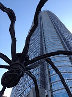 f0065542_1975480.jpg