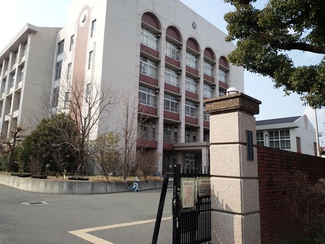 f0138645_7522.jpg