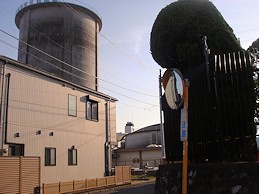 c0001653_233062.jpg