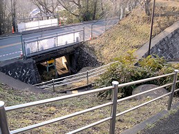 c0001653_2331331.jpg