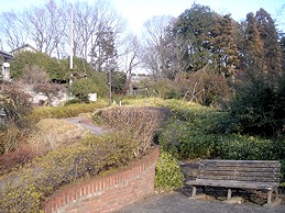 c0001653_2333232.jpg