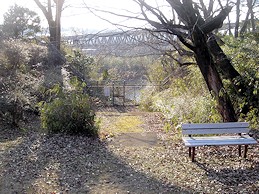c0001653_2334523.jpg