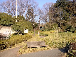 c0001653_2354158.jpg