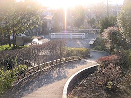 c0001653_2355480.jpg