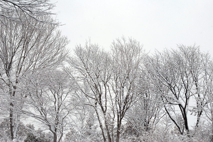 a0001354_23435100.gif