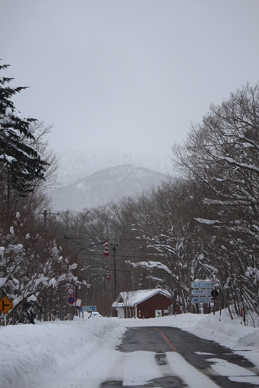 b0250154_20192747.jpg