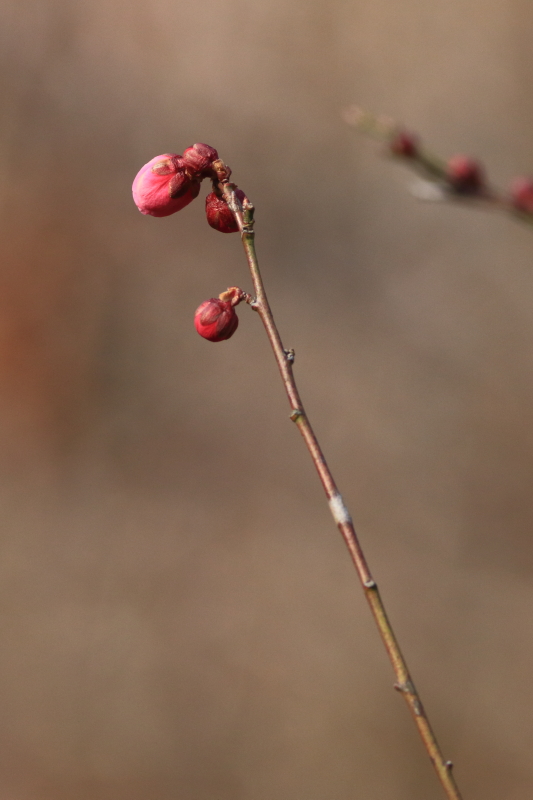 f0230458_2150426.jpg