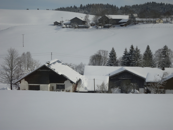 f0330364_00171847.jpg