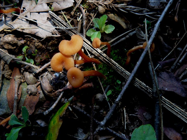 d0019074_8493727.jpg