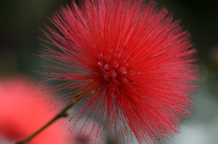 f0108478_1818134.jpg