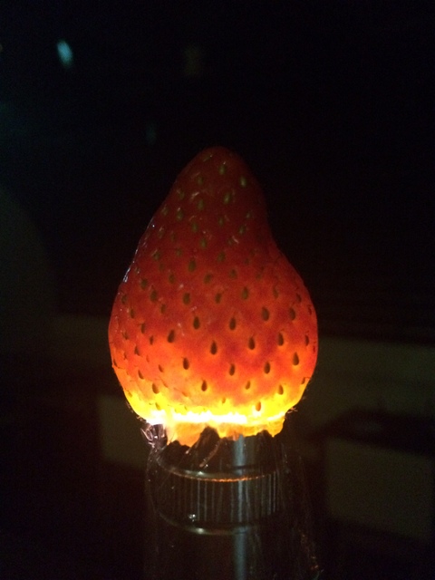 f0230284_23322058.jpg