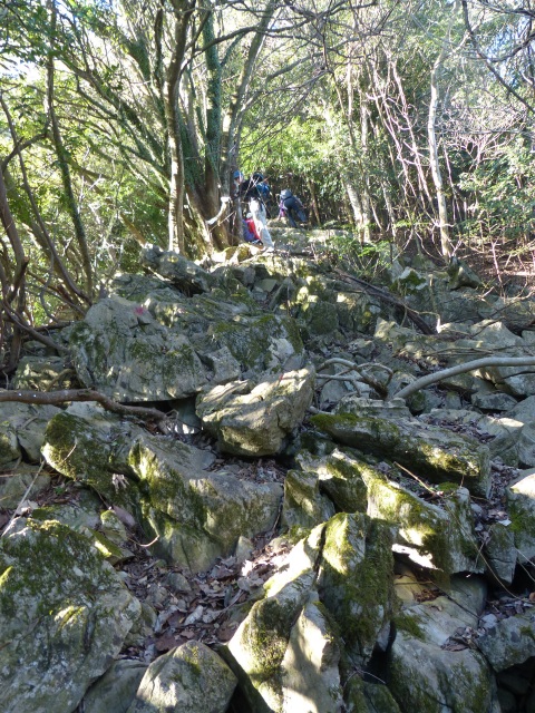 f0357487_22373889.jpg