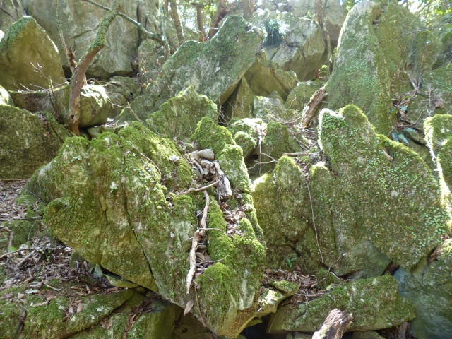 f0357487_22553614.jpg