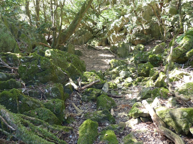 f0357487_22555470.jpg