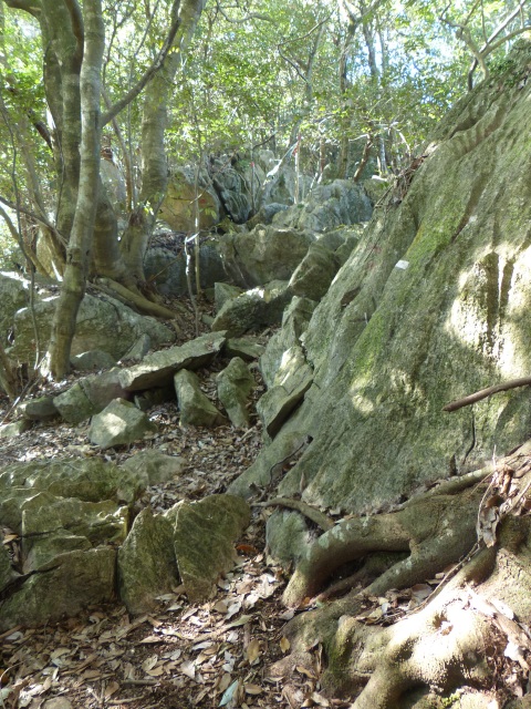f0357487_22571450.jpg
