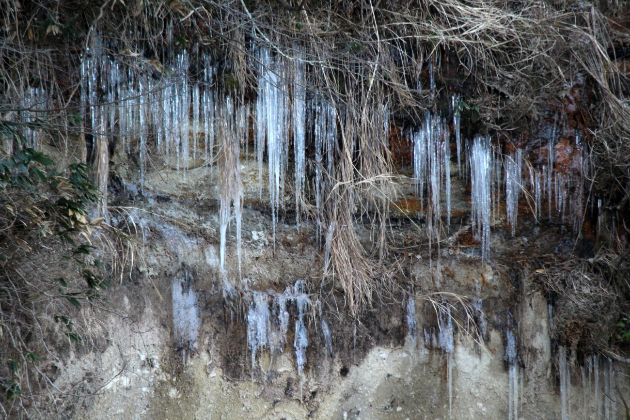 a0127090_20291675.jpg