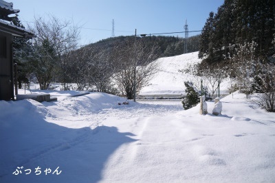 f0353990_09511628.jpg