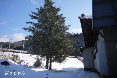 f0353990_09512229.jpg