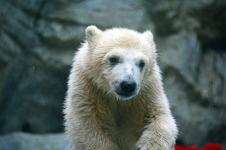 a0151913_311759.jpg