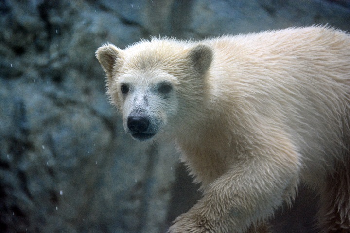 a0151913_312415.jpg