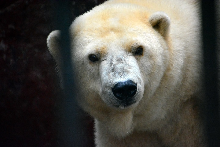 a0151913_9583968.jpg
