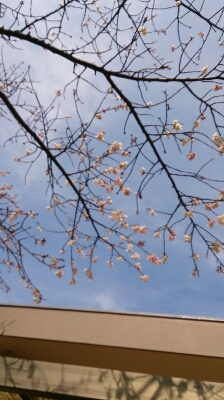 c0117621_2354810.jpg