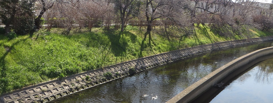 c0280322_15144284.jpg