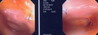 a0082724_21255216.jpg