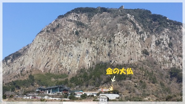 a0115924_23141509.jpg
