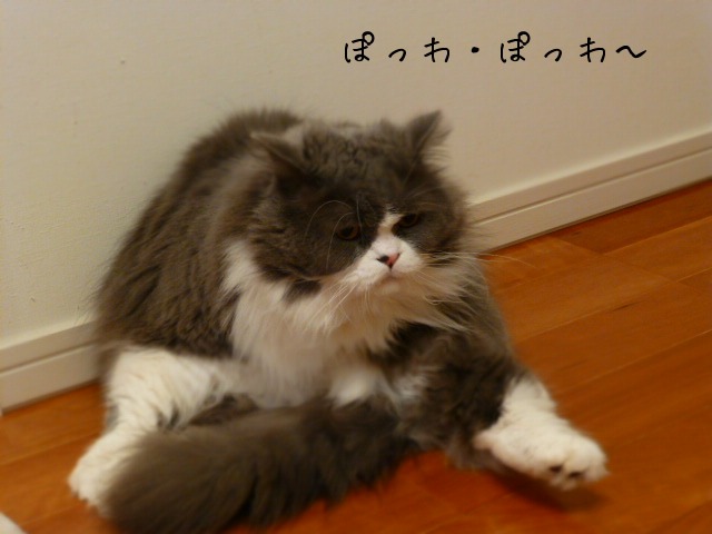 e0237625_021581.jpg