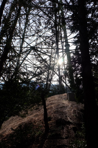 b0281732_10163450.jpg