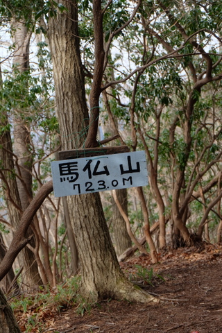 b0281732_10165273.jpg