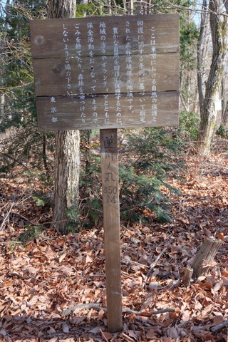 b0281732_101901.jpg