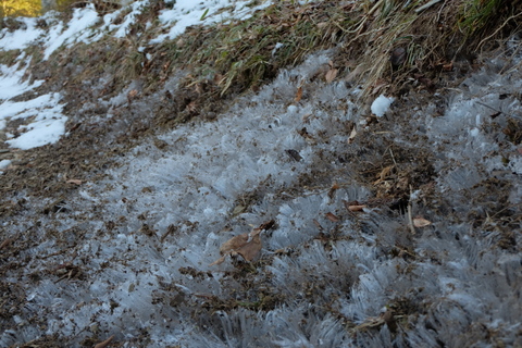 b0281732_16114680.jpg