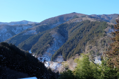 b0281732_16115343.jpg