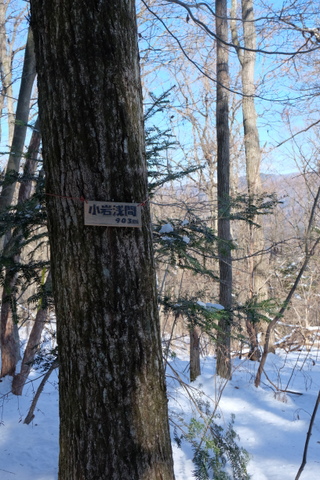 b0281732_1682444.jpg