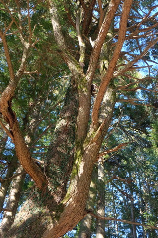 b0281732_1692969.jpg